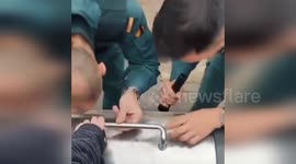 Spain: Citizen Tip Leads to Rescue of Abandoned Puppy from Underground Trash Bins