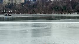 US: Deer Saved from Frozen Potomac by BVSPCA, MPD, and DC Fire