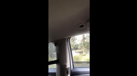 Women Pull Over Car due to Large Spider