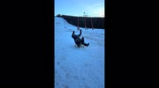 temp
