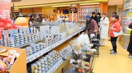 China: China's pet economy on a paw-sitive rise