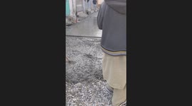 Donkey leaves footprints on freshly laid road in Attock, Pakistan