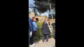 Cheetah spotted resting with tongue out at Balboa Park