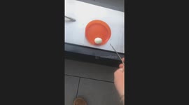 Egg bursts in British Columbia, Canada