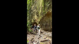 Tourists witness rare giant corpse flower bloom in Indonesian rainforest (original footage 1)