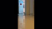 temp