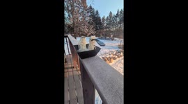 Noodles frozen mid-air in Montrose, Minnesota at -21.8°F