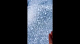 Dog eats snowflakes from hand in Armenia