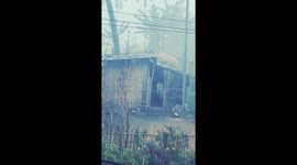 Elephant stole a sack from neighborhood in Jhapa, Nepal