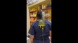 Veterinarian multitasks while caring for sick puppy in Windhoek, Namibia