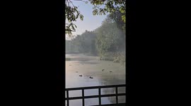 Tryin to film the morning mist on the lake with a friend and i slip straight over. 2 views of the fall followed by my friend laughting.