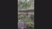 temp
