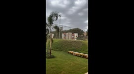 Couple tries to save tree from strong wind in Adamantina, Brazil