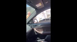 Dog barks at friendly man in Goiânia, Brazil