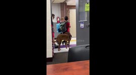 Therapy dog greets children after school in Spencer, Iowa, USA