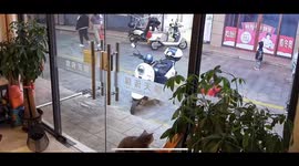 Child tries to open locked door to pet cat in Guangdong