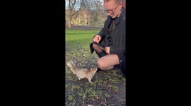 Squirrel climbs onto woman's lap for a snack in London, England, UK