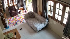 Funny dog interaction captured on security camera in Chiangmai, Thailand