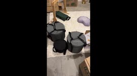 Frog infestation surprises new homeowner in Florida, USA