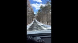 Fox encounter captivates travelers in Kitakaruizawa, Naganohara, Japan