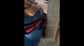 Car parked in tight space between trees in Beijing, China
