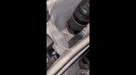 Scorpion found resting on a camera lens hood in Nueva Concepción, El Salvador