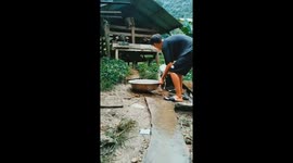 Funny reaction of a cow to the fall of a guy with a basin of water!