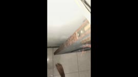 The rat is stuck behind the door and looks like spider-man!