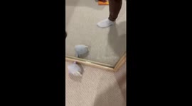 The kid looks at himself funny in the mirror in an Elmo costume!