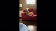 temp