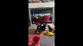 The child woke up at the same second as his favorite cartoon was turned on!