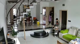 Furious pet cat suddenly attacks kid and even tries opening door after he and mum flee