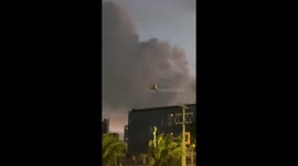 Owl Tries To Fly Against Wind