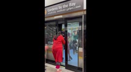 Passenger gets stuck while trying to squeeze through closing train doors