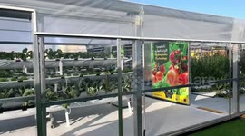 Int'l agricultural exhibition underway in Qatar