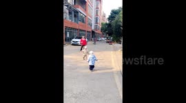 Adorable moment excited toddlers run to hug each other but take a tumble at last second
