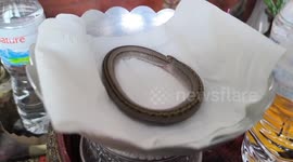 Locals hold funeral for snake that died eating its own tail