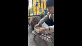 Fussy monkey gets very particular with his food at dinner time