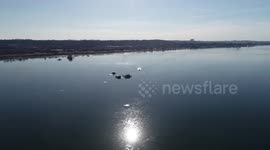 Black Hawk helicopter wreckage floats in Potomac River following mid-air plane crash