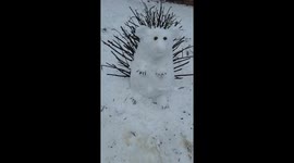 The Snowgehog!