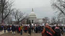 US: Protesters rally in Washington DC against Trump’s policies