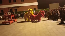 Lion Dance Performance in China