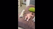 temp