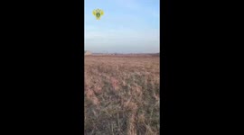 2 pilots die in light aircraft crash in Moscow region