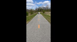 Territorial Turkey Does Circles with Cyclist