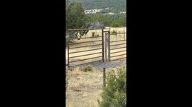 Weirdly Vibrating Gate