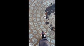 Where Did the Water Go?