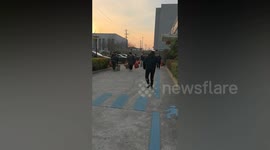 Factory workers visibly delighted to be gifted honking geese by company