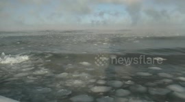 the waves, yesterday  were so strong,  became now slow and heavy. We peered into the ice field of waves to find out how much ice is there