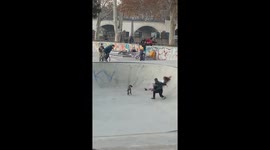 Street puppy runs around with children in Tbilisi skatepark